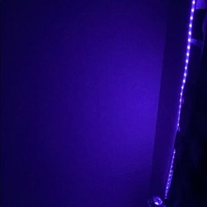 Meet your Posher, Maisy